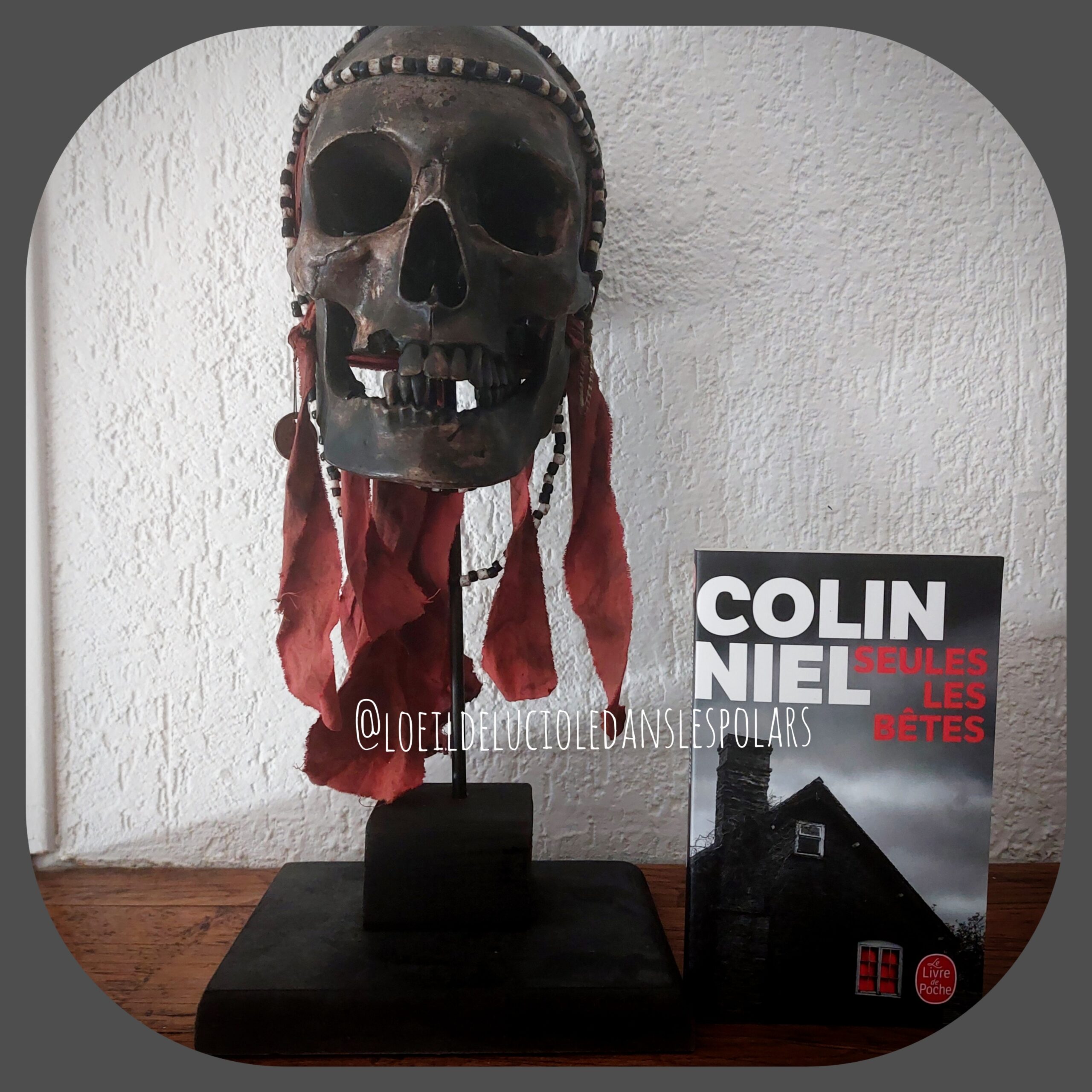 Seules les bêtes de Colin Niel