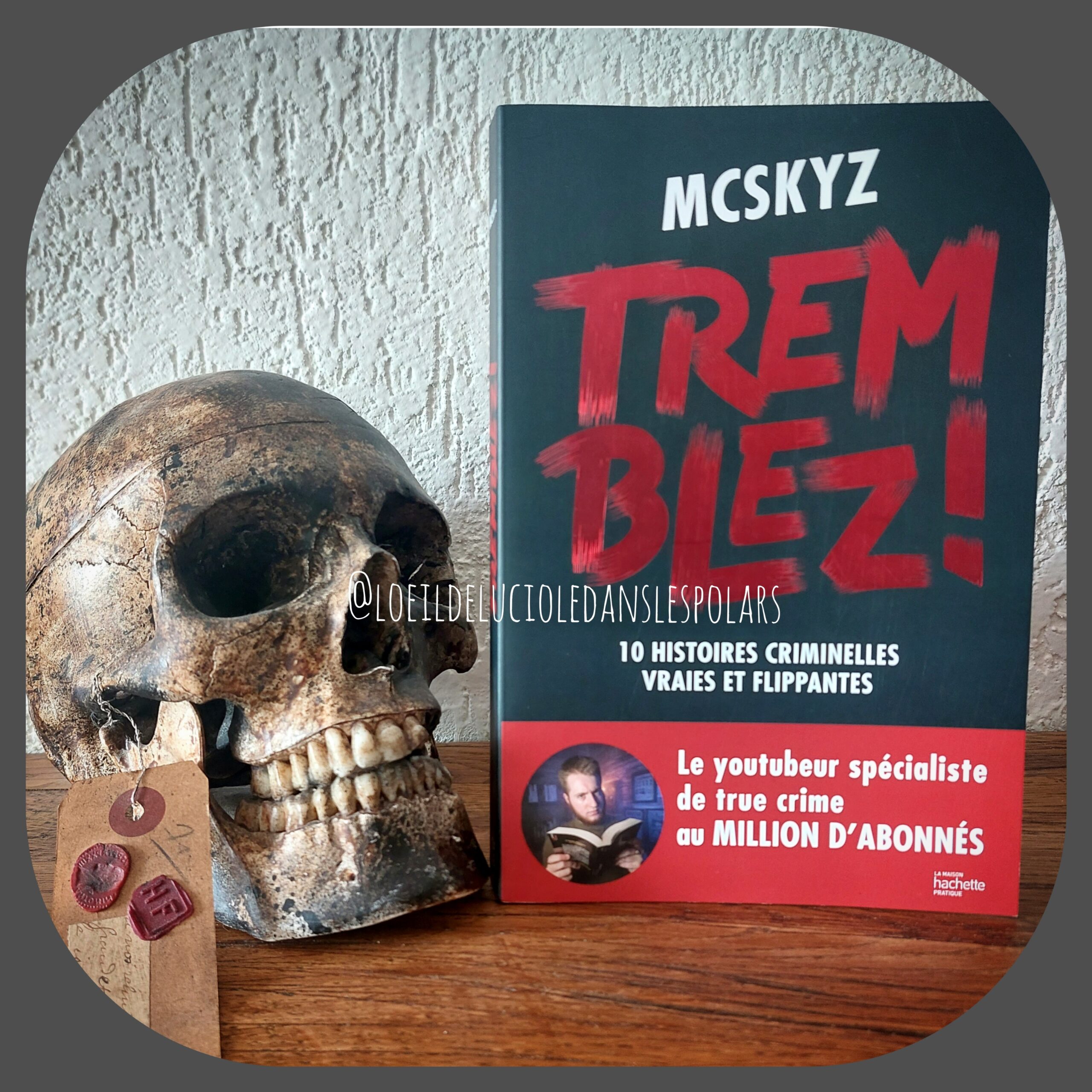 Tremblez !: 10 histoires criminelles vraies et flippantes de McSkyz