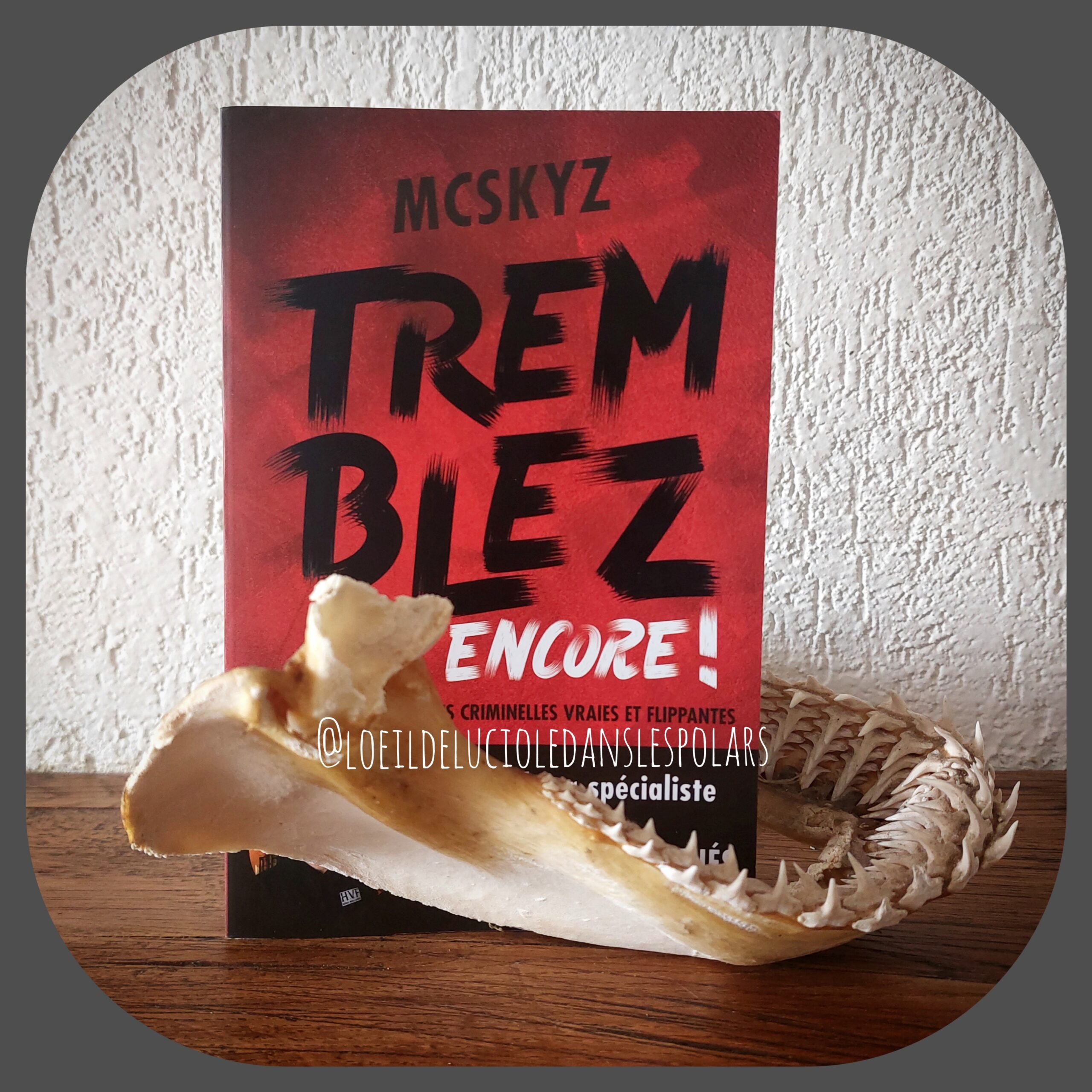 Tremblez encore ! de McSkyz – L'oeil de Luciole