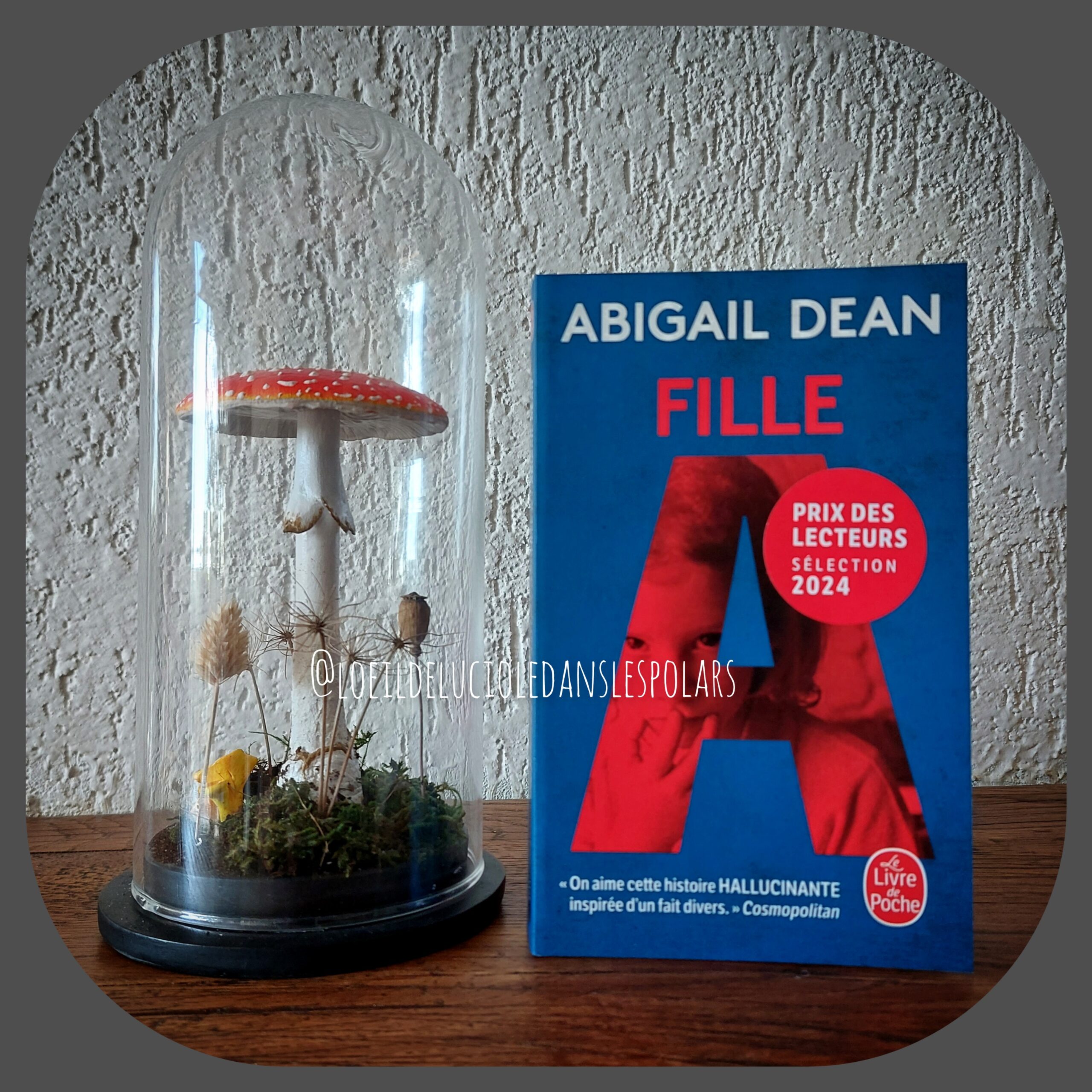 Fille A d’Abigail Dean