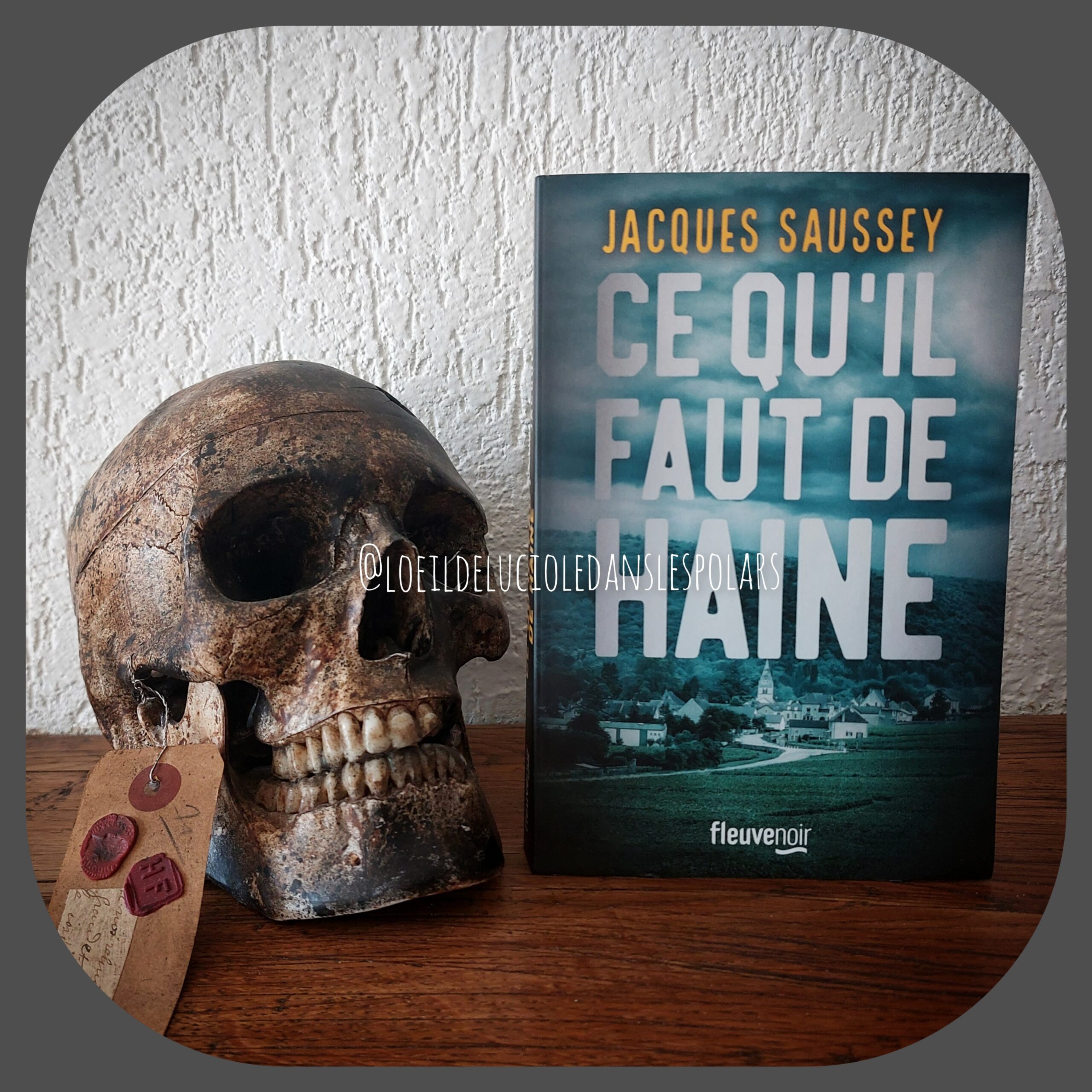 Ce qu’il faut de haine de Jacques Saussey