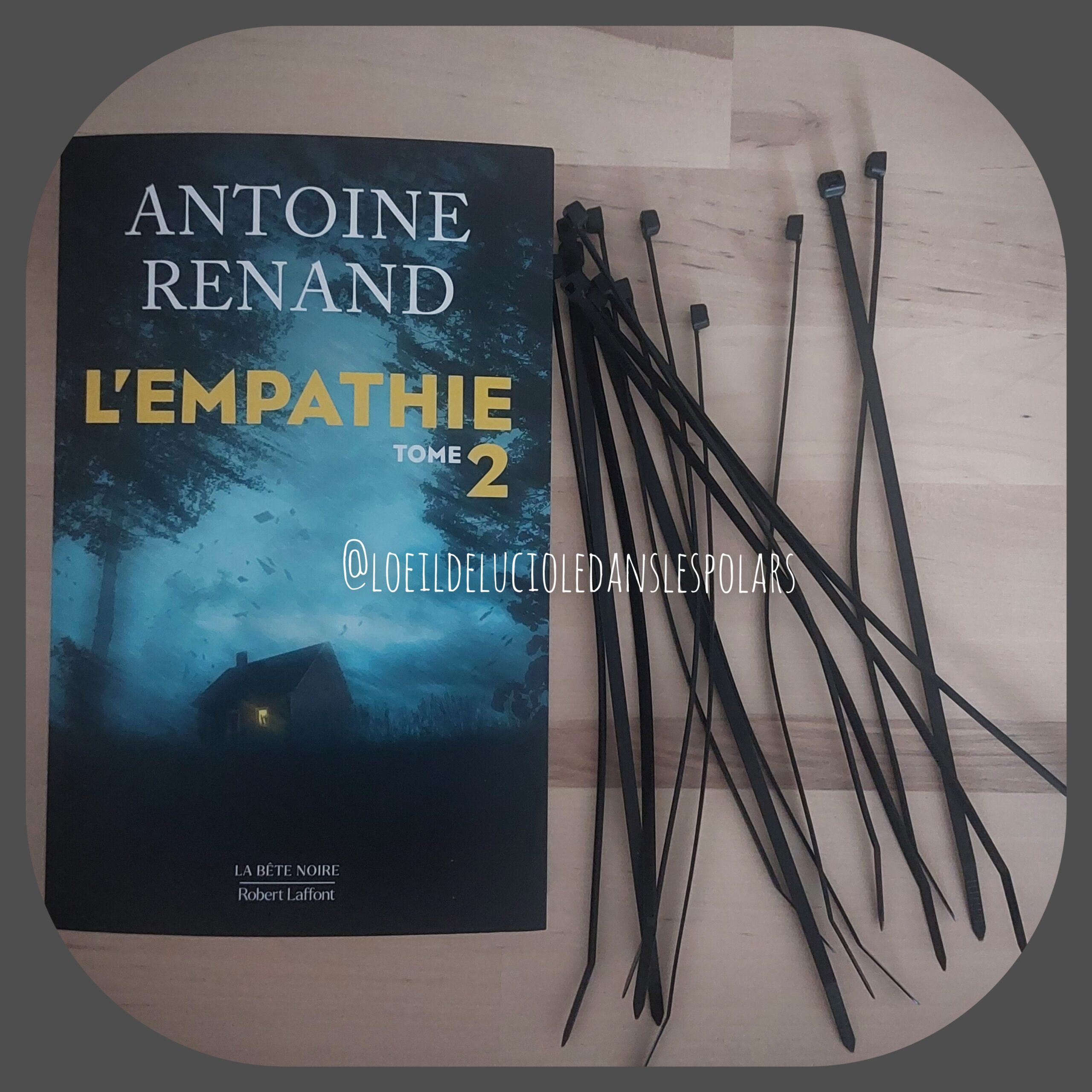 L’empathie tome 2 d’Antoine Renand