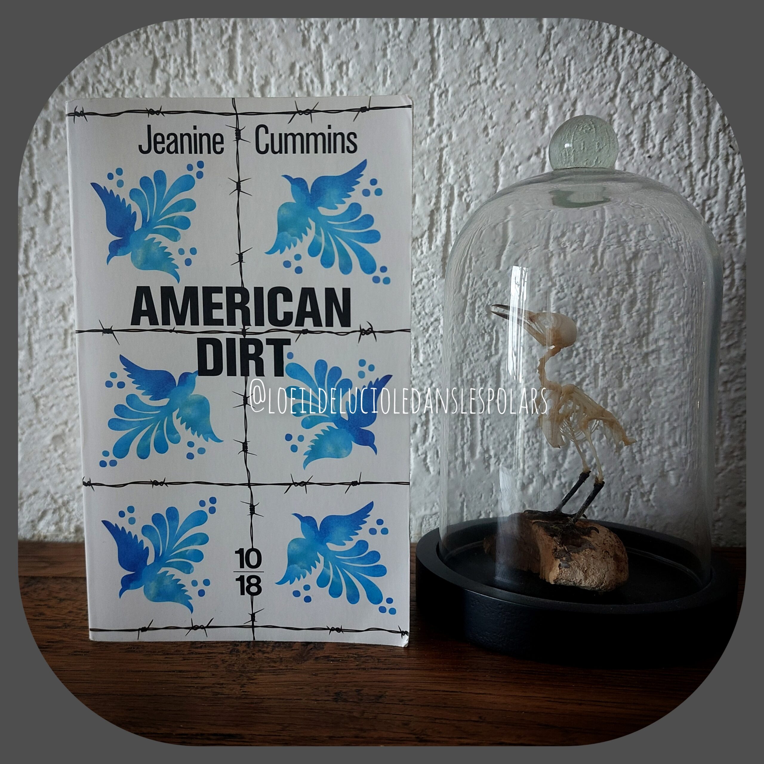 American dirt de Jeanine Cummins