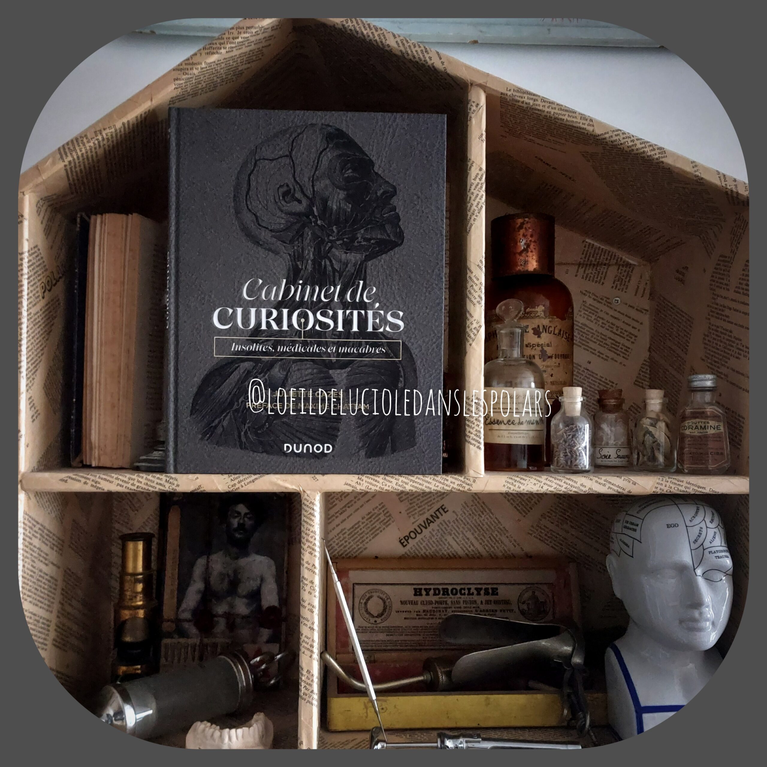 Cabinet de curiosités, insolites, médicales et macabres de Juliette Cazes