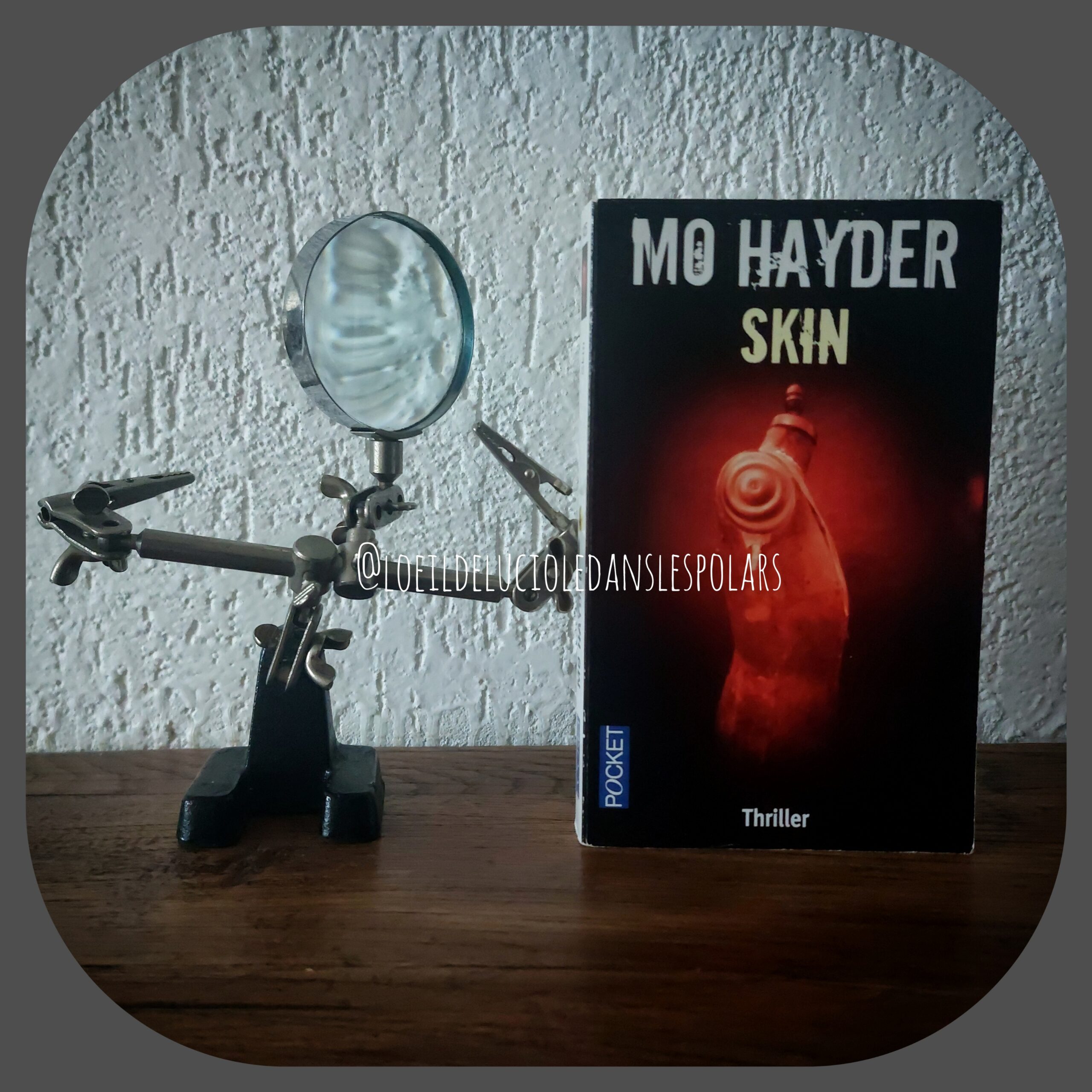 Skin de Mo Hayder
