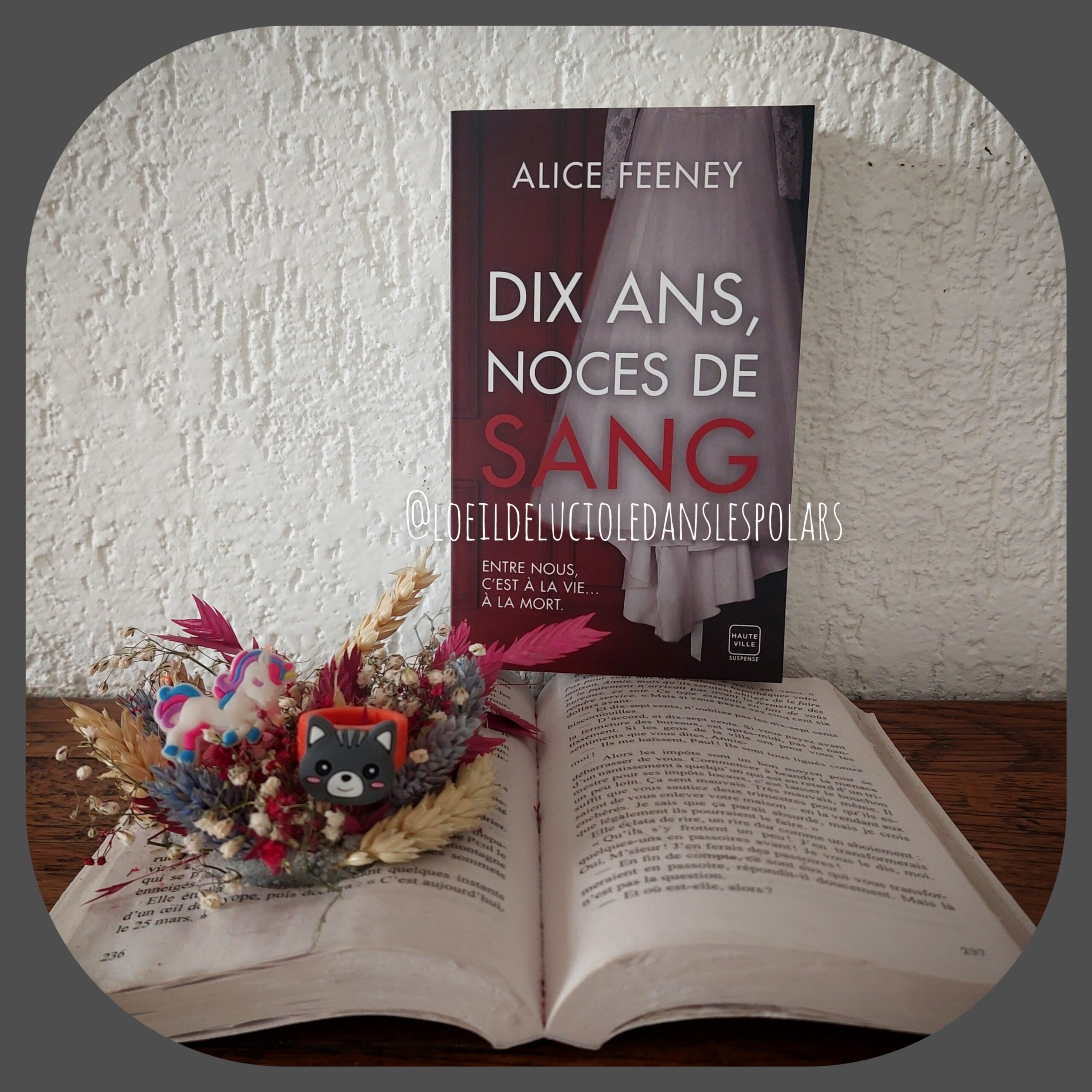 Dix ans, noces de sang d’Alice Feeney