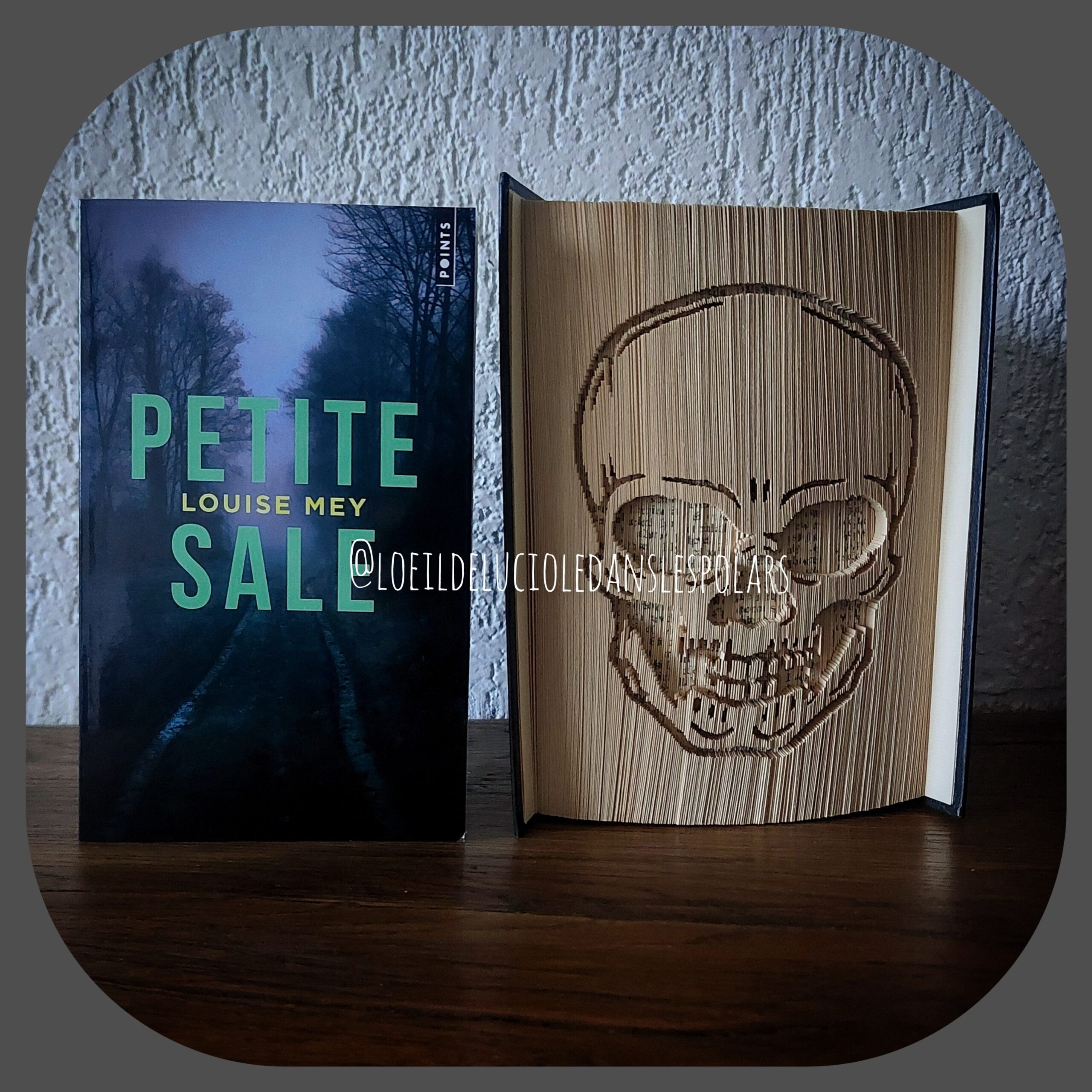 Petite sale de Louise Mey