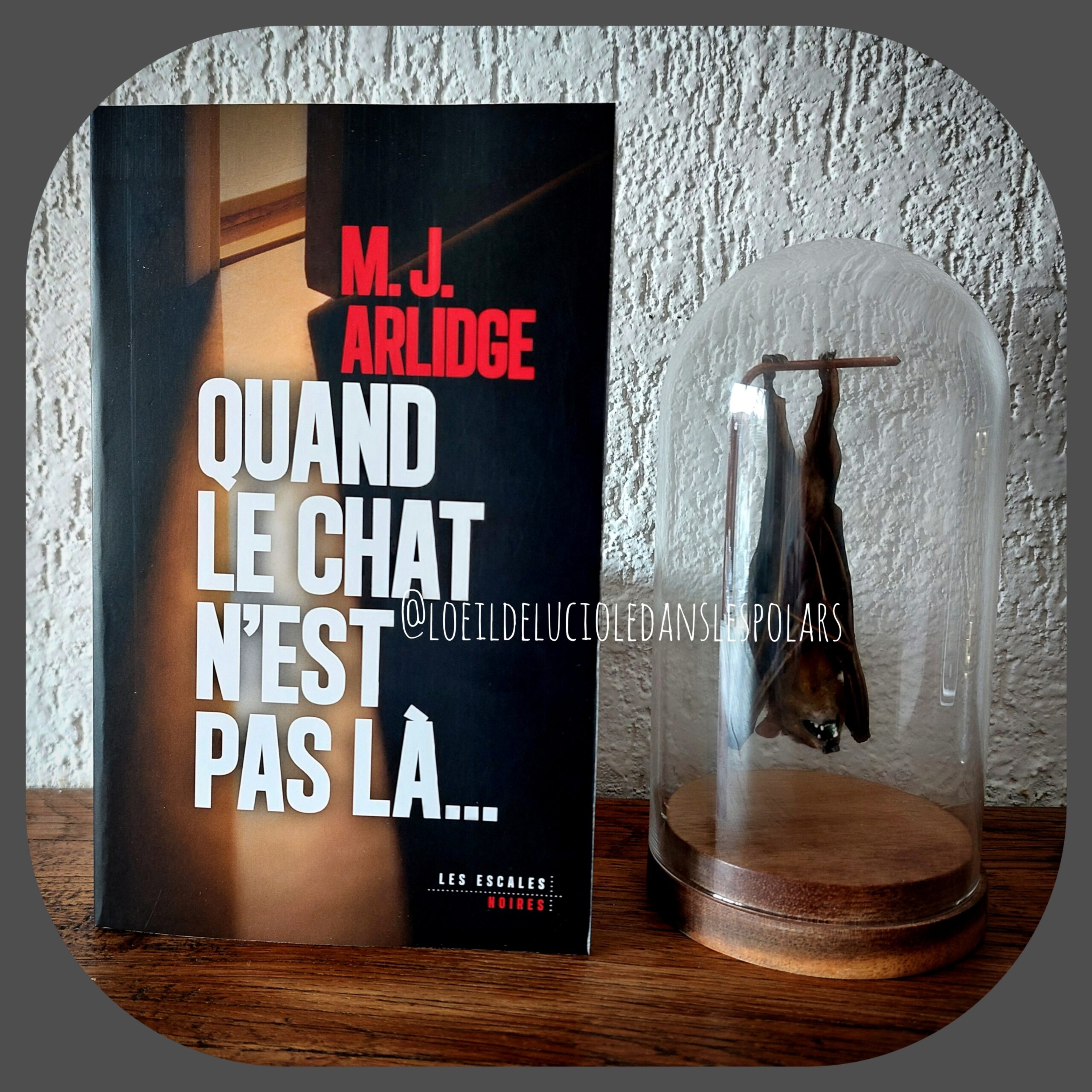 Quand le chat n’est pas là… de M. J. Arlidge