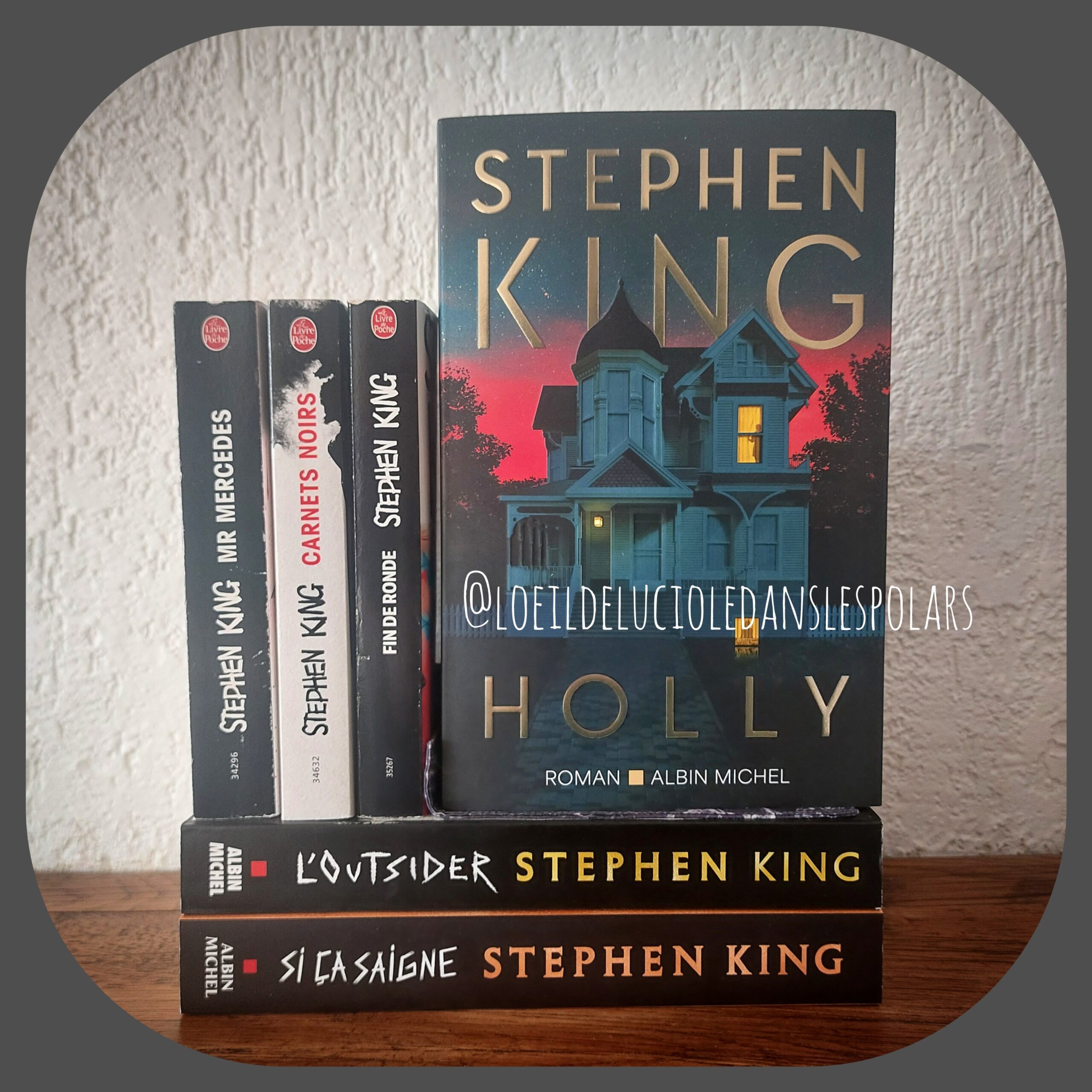 Holly de Stephen King