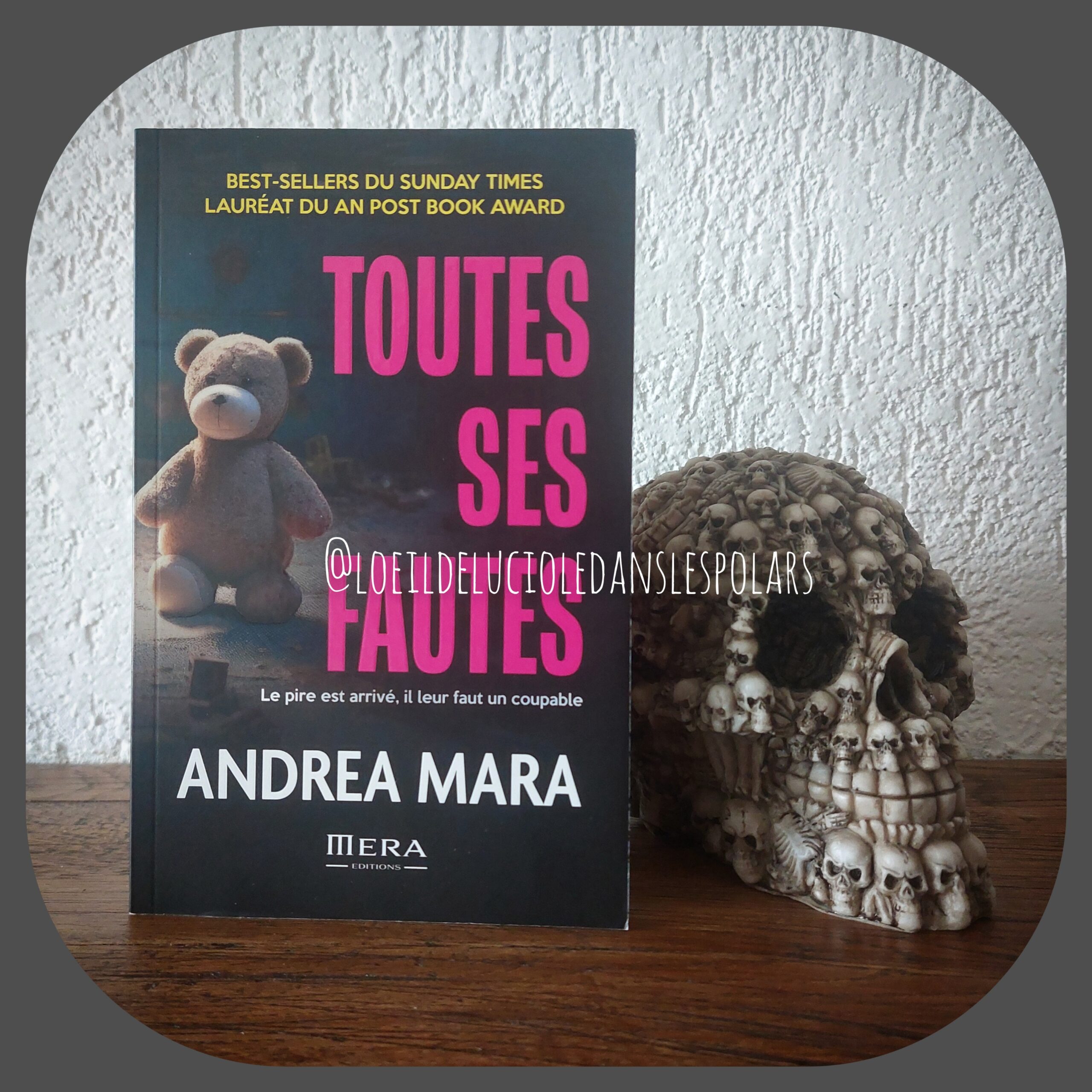 Toutes ses fautes d’Andrea Mara