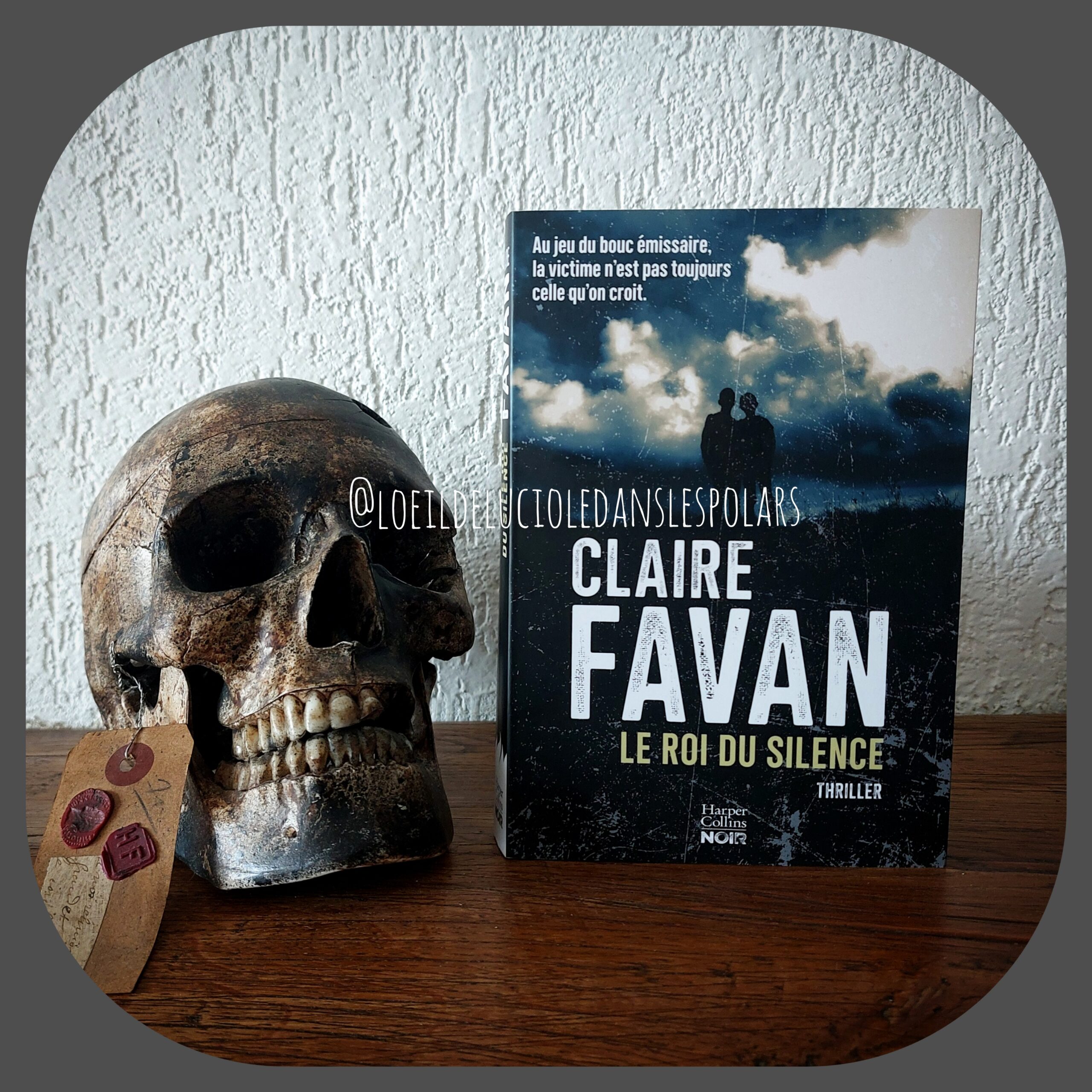 Le roi du silence de Claire Favan