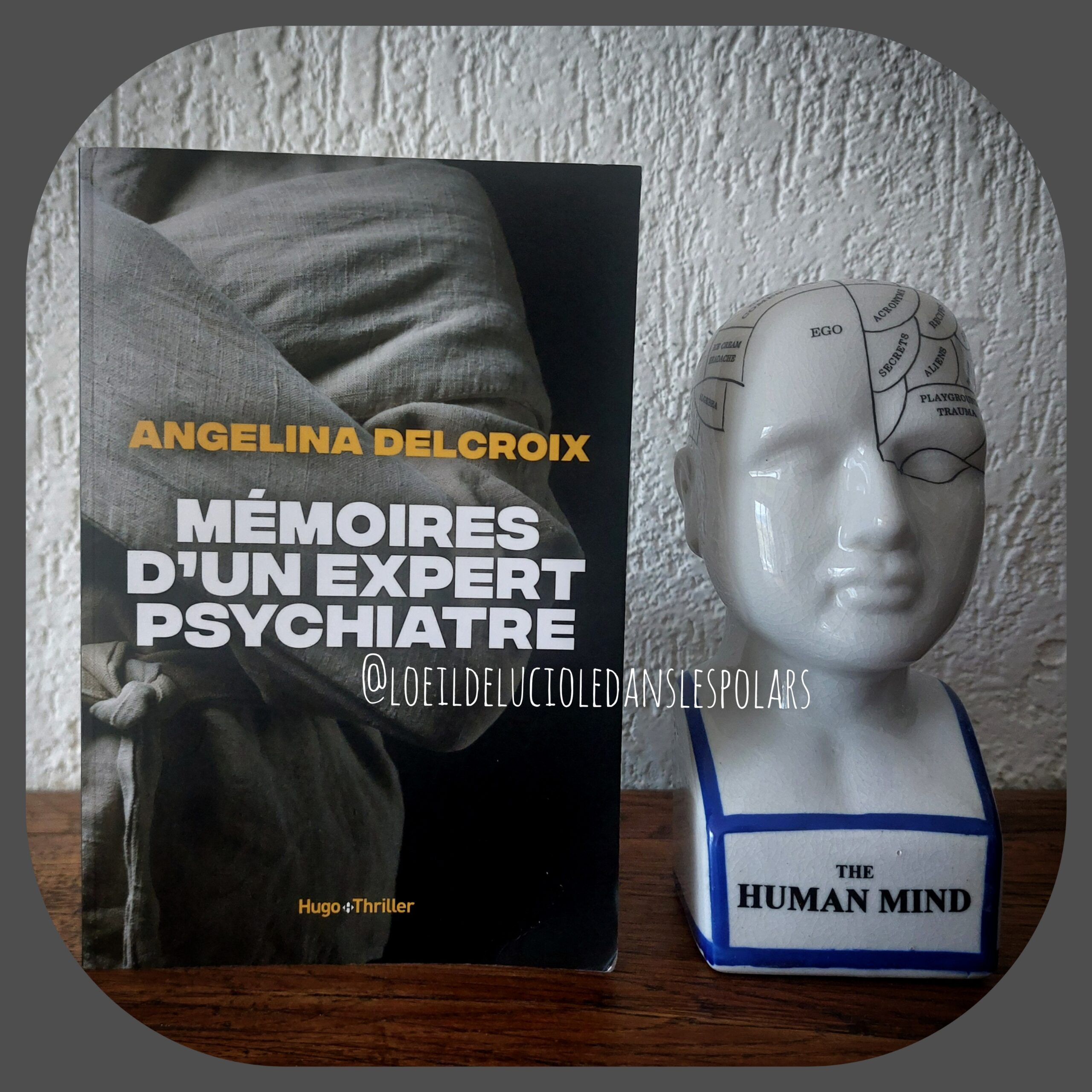 Mémoires d’un expert psychiatre d’Angélina Delcroix