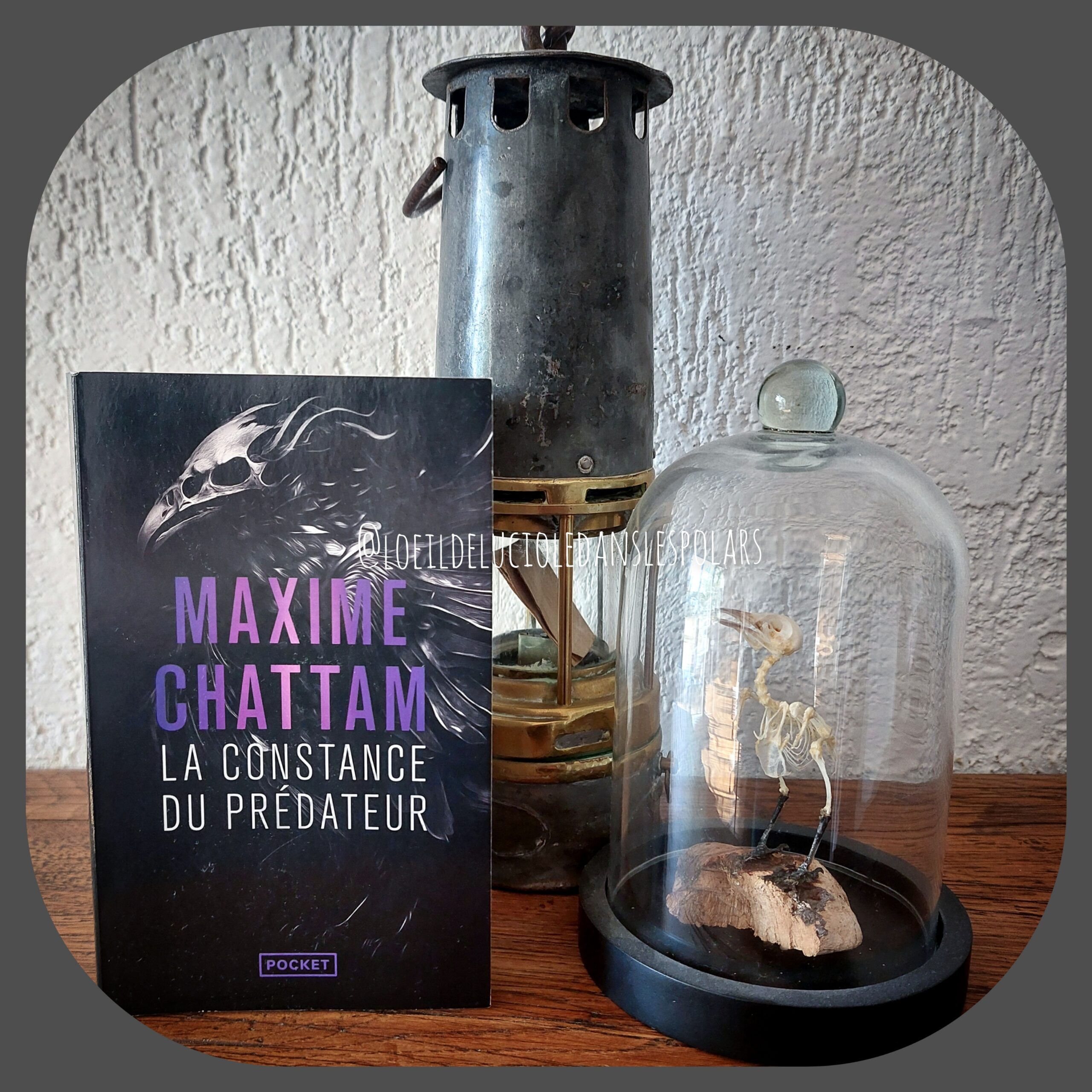 La constance du prédateur de Maxime Chattam